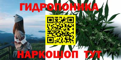 дживик Усть-Илимск