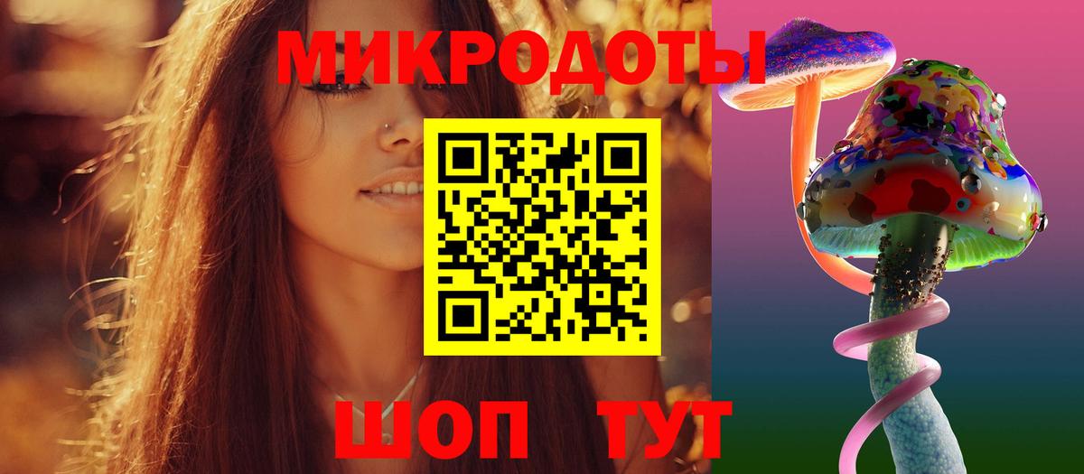 Псилоцибиновые грибы Psilocybine cubensis Кохма