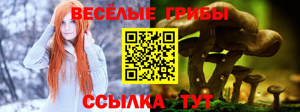 Псилоцибиновые грибы MAGIC MUSHROOMS  Вход с VPN  Кохма 